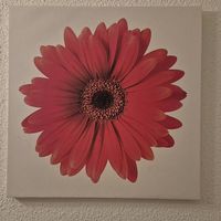 Bilder