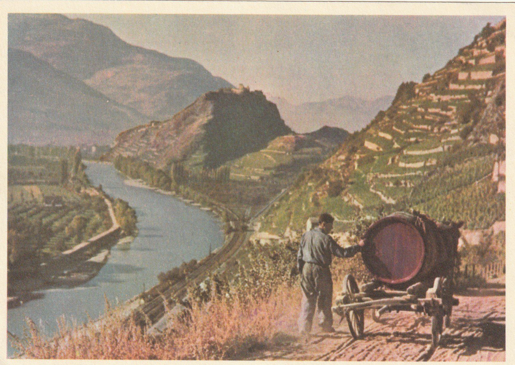 Cartoline postali: Varone - Sion Weinlese – Usato da Rorschacherberg venduto da fratovi2 2