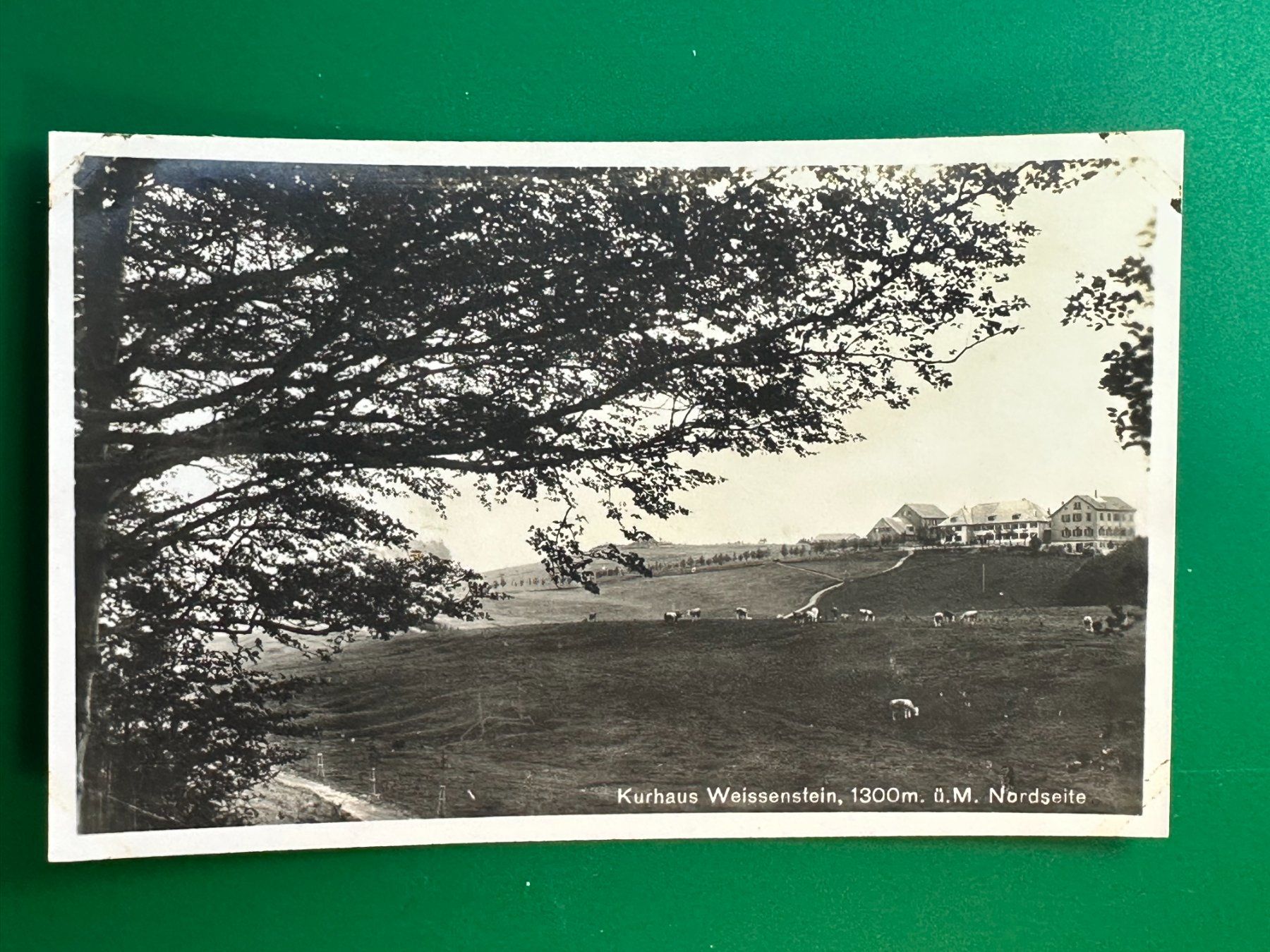 Cartoline postali: Kurhaus Weissenstein – Usato da Steg VS venduto da danwer74