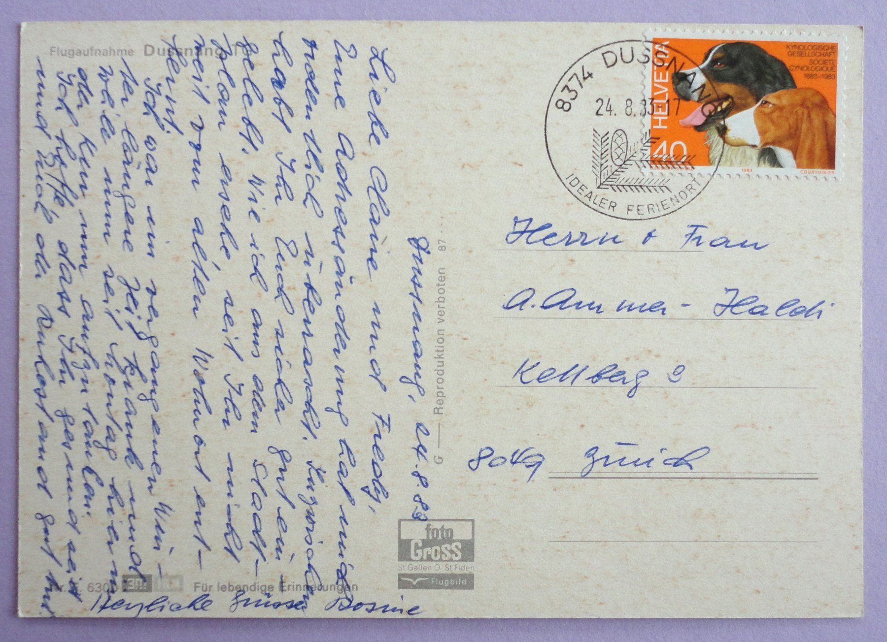 Cartoline postali: Flugaufnahme Dussnang TG – Usato da Fétigny venduto da Billy2miny 1