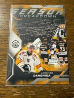 SportZoo Sammelkarten/Playoffs 25-26/Season Breakdown