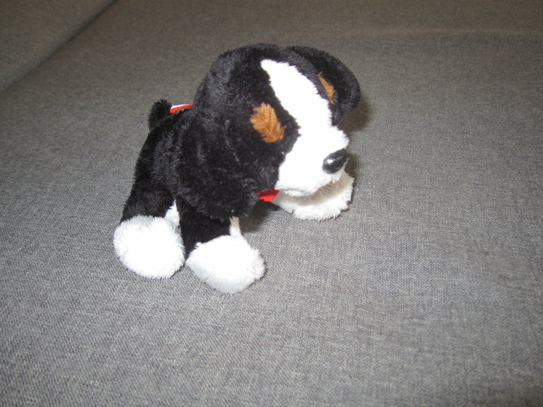 Spielzeuge: Stofftier, Berner Sennenhund ca. 14 cm – Gebraucht aus Wettingen von Sk8ertomda 3