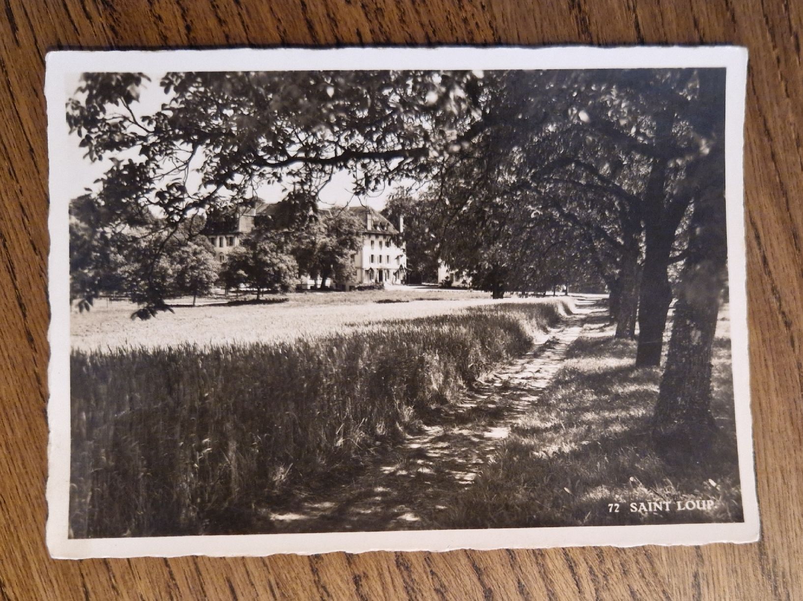 Cartoline postali: Saint Loup – Usato da Ebikon venduto da Donar50