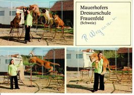 Zoo Plättli Frauenfeld