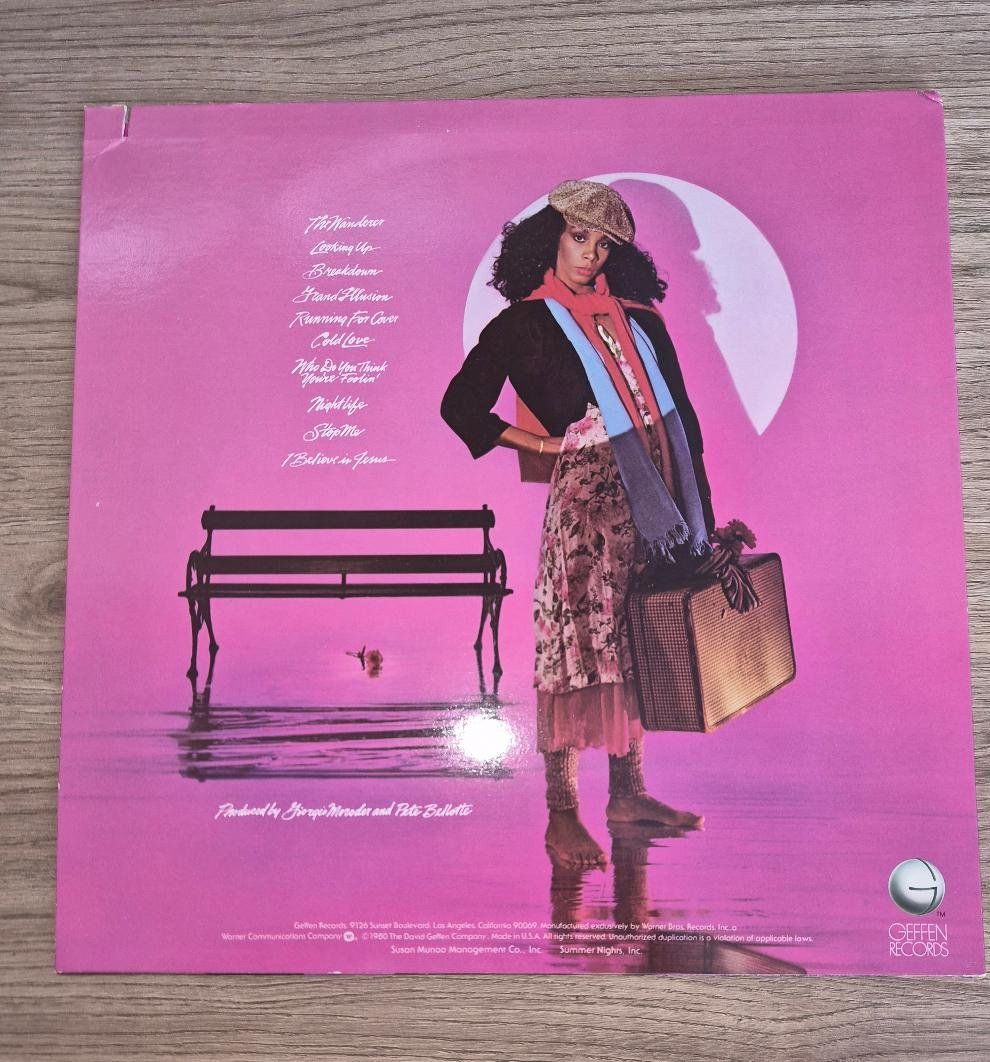 Dischi in vinile: Schallplatte LP Vinyl 33" Donna Summer "The Wanderer" – Usato da Dielsdorf venduto da SHOES_BY_SYLVI 1