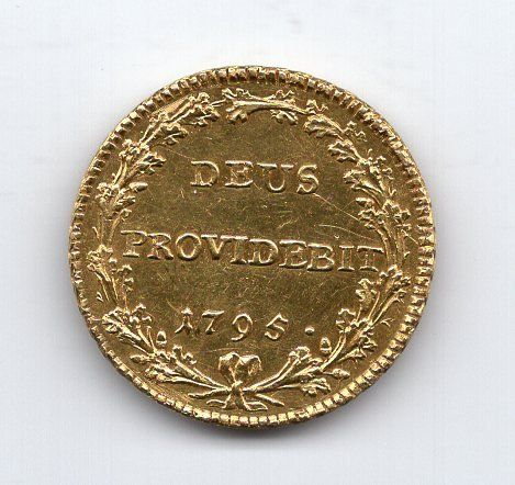 Toutes les monnaies: (2408) Bern Doppelduplone 1795, top stgl – D'occasion à Rüthi (Rheintal) par erdnuessli1