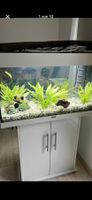Juwel Aquarium 120 L inkl. Unterschrank & viel Zubehör