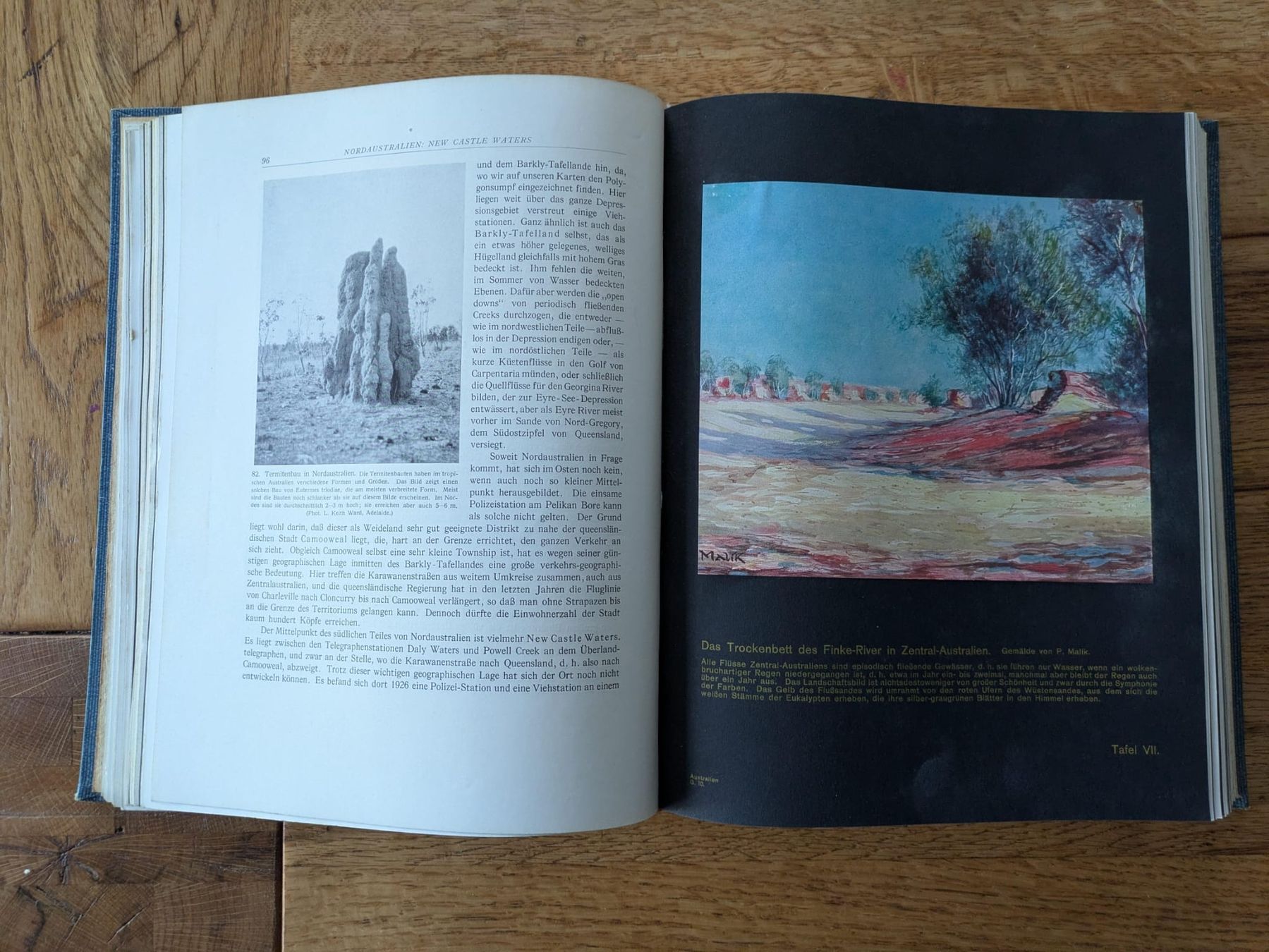 Libri: Handbuch geografische Wissenschaft – Usato da Rupperswil venduto da greenangel4 2