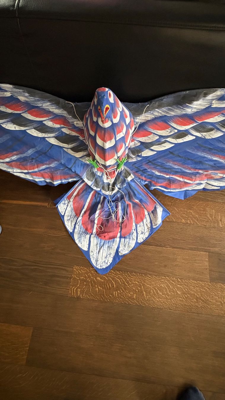Altro in Decorazioni & Accessori: Drachen / Winddrachen (Adlersujet) – Nuovo (secondo la descrizione) da Schlieren venduto da Bozzighe 2