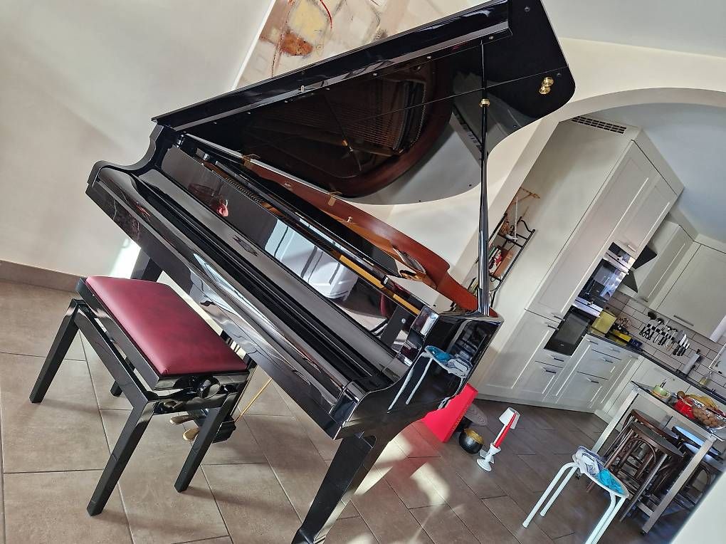 Strumenti musicali: Piano – Usato da Laconnex venduto da Duraffourd