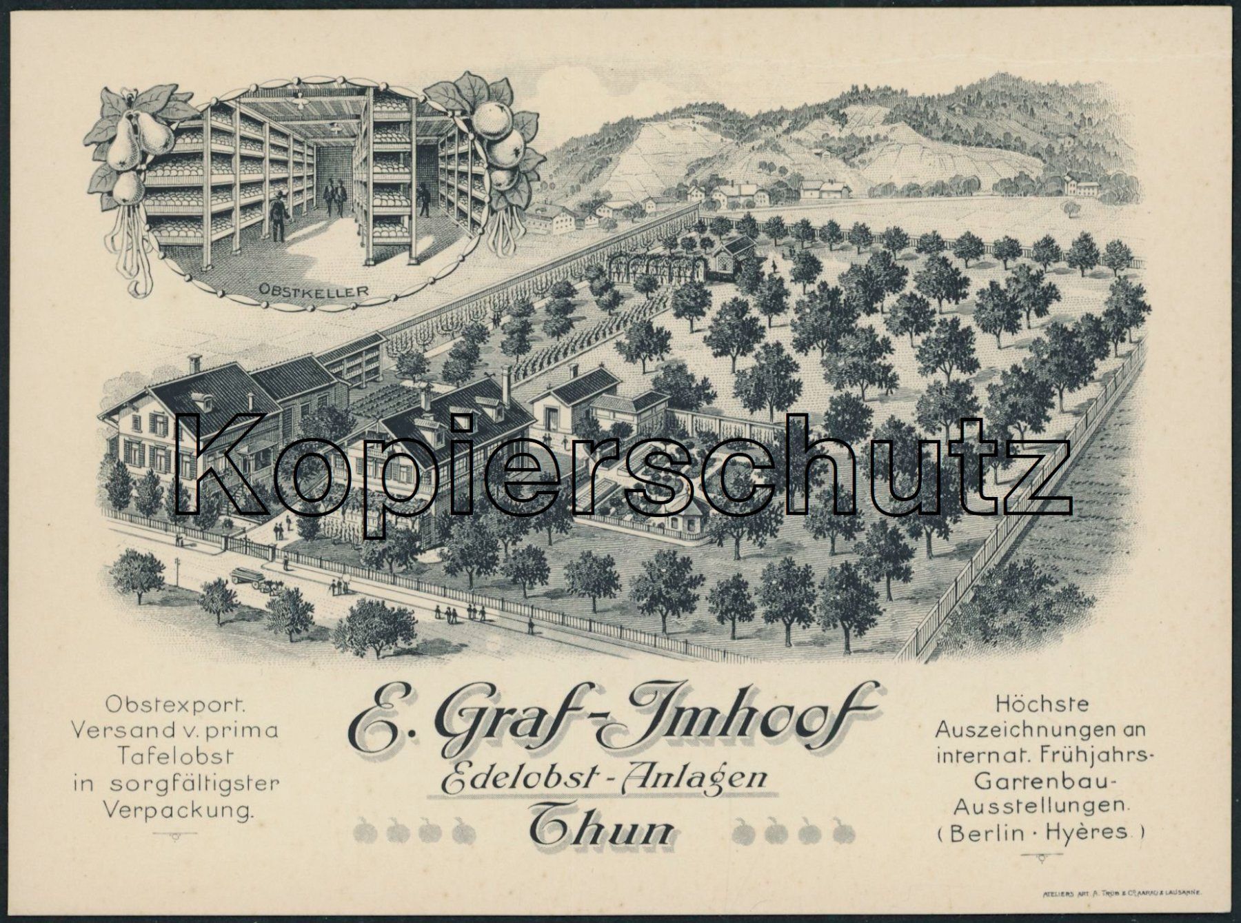 Cartoline postali: BE Thun - Litho - Landwirtschaft – Nuovo (secondo la descrizione) da Schindellegi venduto da leecollect