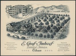BE Thun - Litho - Landwirtschaft