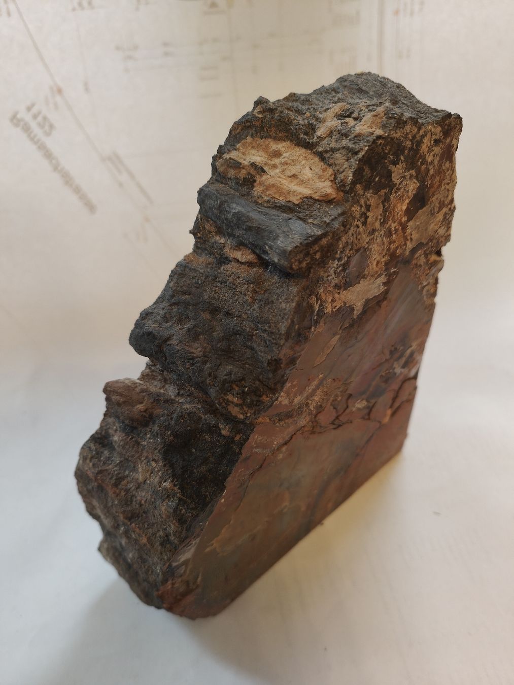 Minerali & Pietre curative: Seltene Buchstützen aus versteinertem Holz (Arizona) – Usato da Flumenthal venduto da mar_wyw8 5