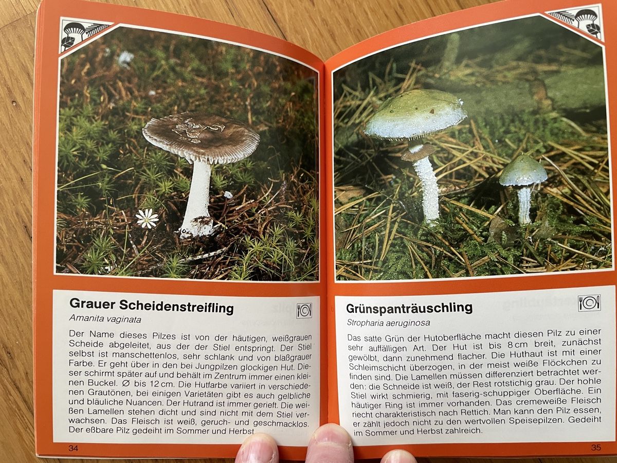 Bücher: Pilze - Zwei Bücher – Gebraucht aus Zürich von silab69 6