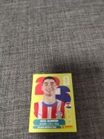 panini PAR 17
