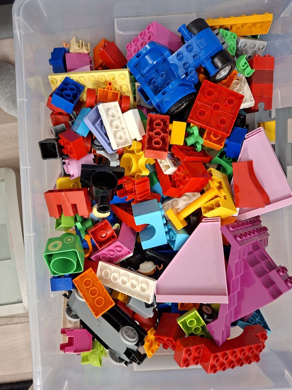 Lego Giocattoli: 17 kg Lego Duplo – Usato da Klingnau venduto da Kaschira 5