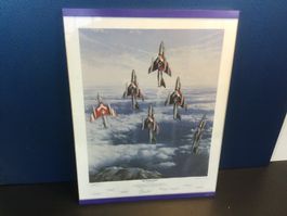 Bild Kampfflugzeuge der Patrouille Suisse signiert