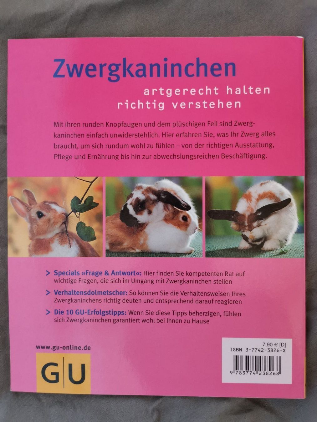 Bücher: Zwergkaninchen – Gebraucht aus Wilderswil von wwil 1