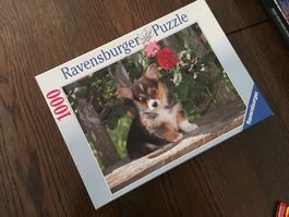 🐕‍🦺 Ravensburger | 🐾 Puzzle - Kleiner Rosenkavalier 🌹🌹