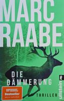 Marc Raabe - Die Dämmerung (Art Mayer-Serie 2)