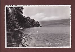 YVONAND - La Plage