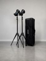 Kit Studio Fotografico Godox MS300 con custodia trolley