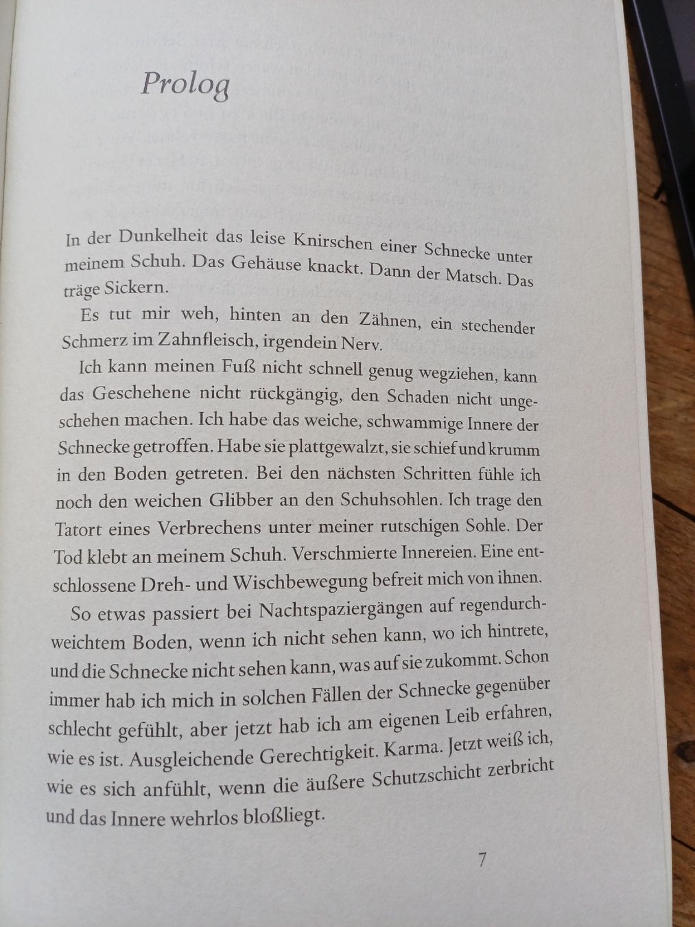 Bücher: Cecelia Ahern "Sommersprossen" Roman Buch – Neu (gemäss Beschreibung) aus Bern von rikivip 5
