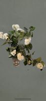 💥Restposten Grosshandel Kunstblumen 7 Stk. Geranium weiss💥