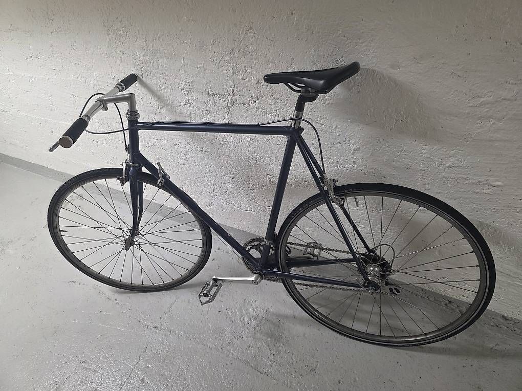 Biciclette: Fahrrad – Usato da Zürich venduto da facero