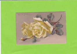 Gelbe Rosen