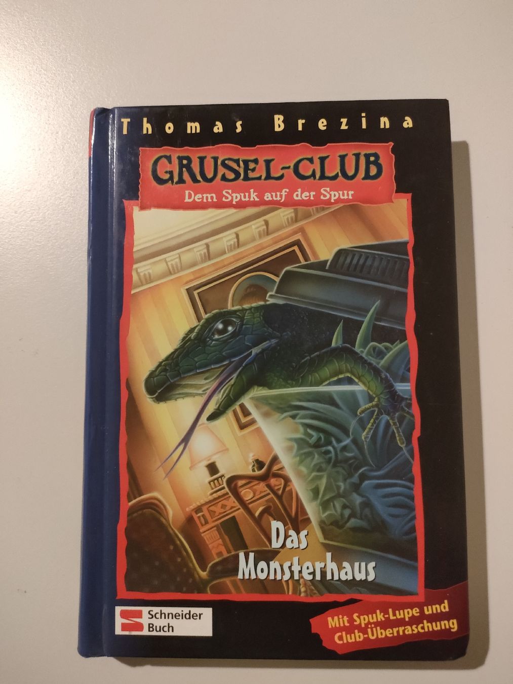 Libri: 4 Grusel-Bücher: Top Zustand – Nuovo (secondo la descrizione) da Lüsslingen venduto da Piper 4