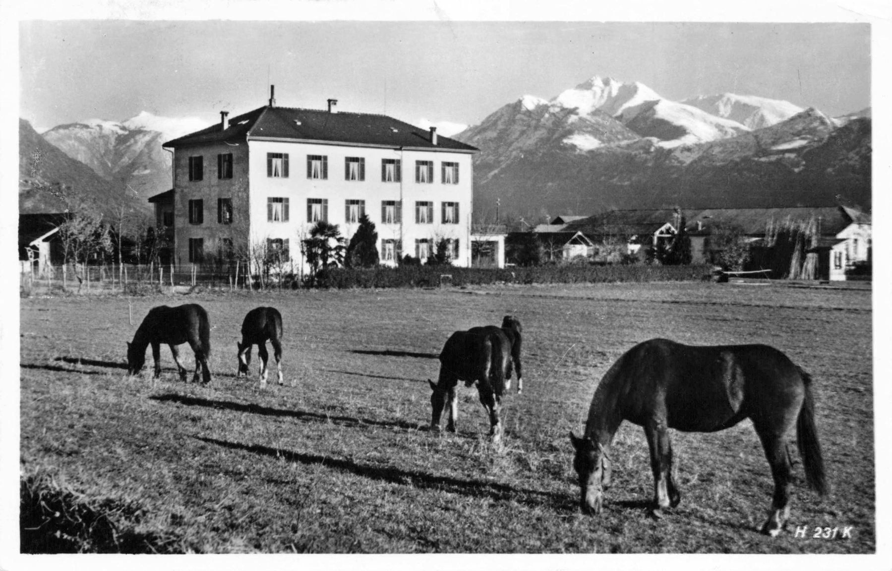 Cartoline postali: Cura Militare tenero Ti – Usato da Biasca venduto da Blenio71