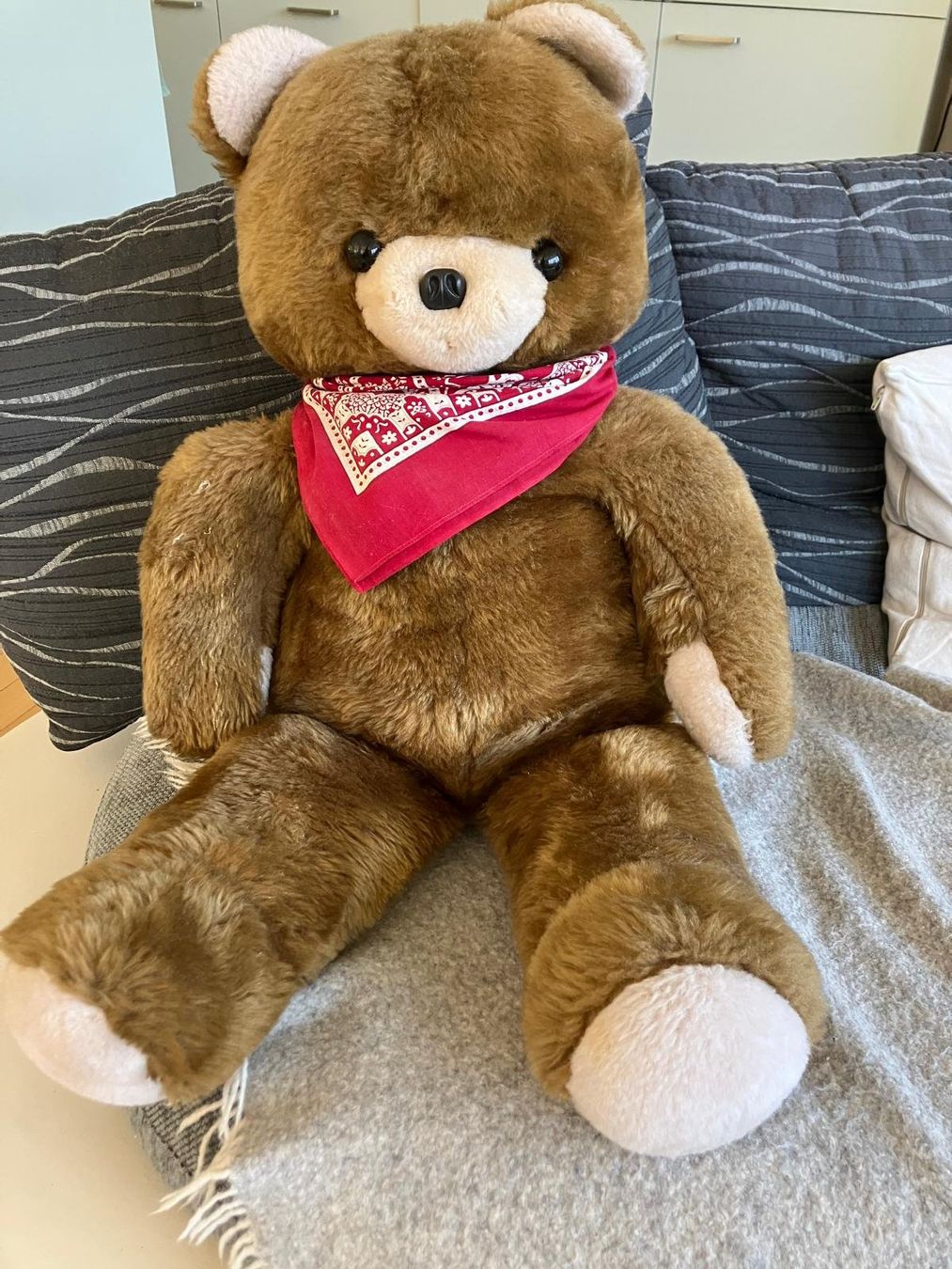 Giocattoli: Teddybär – Usato da Bauen venduto da nepi04
