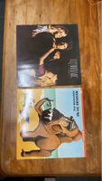 Fleetwood Mac Mirage und Mystery to Me Vinyl LP’s