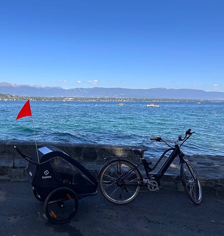 Rimorchi: hamax Voyageur - remorque à vélo – Usato da Chêne-Bougeries venduto da ric_d87p