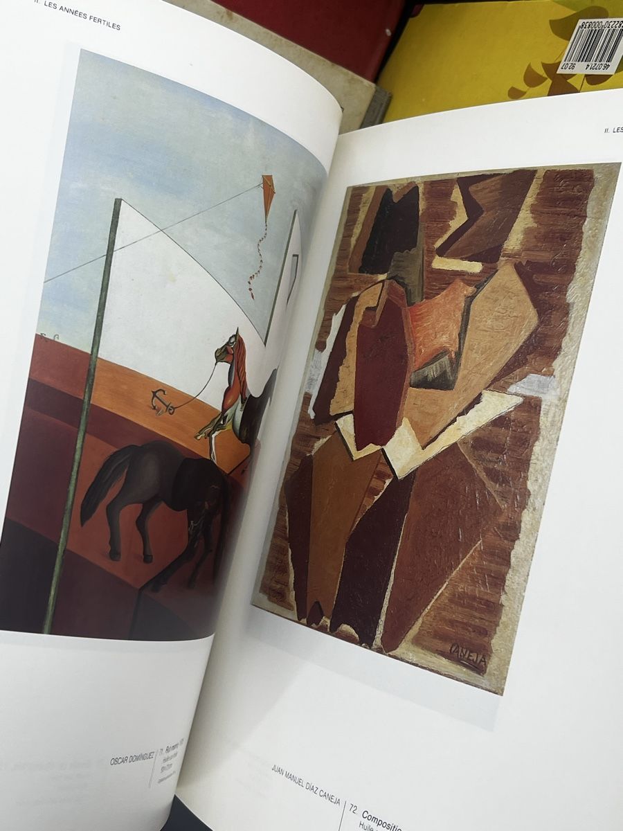Bücher: Le siècle de picasso – Gebraucht aus Wettingen von NickInc 5