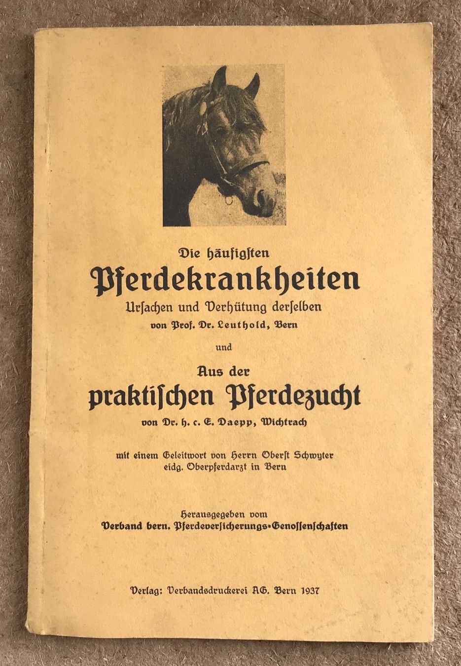 Libri: PFERDEKRANKHEITEN 1937 – Usato da Ostermundigen venduto da Kari1937