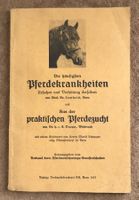 PFERDEKRANKHEITEN 1937