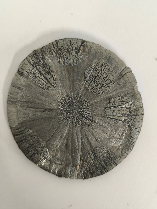 Mineralien & Heilsteine: Pyrit Sonne - Miner's Dollar – Gebraucht aus Rüti ZH von Restwert_Rueti_ZH 3