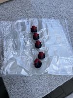 Plastikbehälter Bag in Box 10l mit Karton