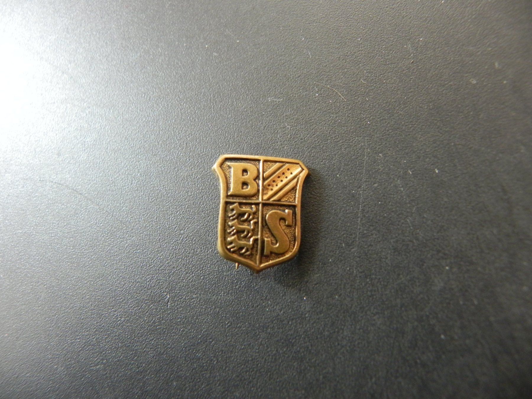 Broschen & Nadeln: Altes Abzeichen Wappen B + S – Gebraucht aus Biel/Bienne von Gogolozi