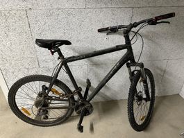 BULLS Mountainbike – robust, zuverlässig, fahrbereit - black