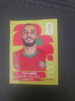 panini MAR 7