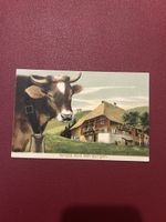 Gruss aus den Bergen