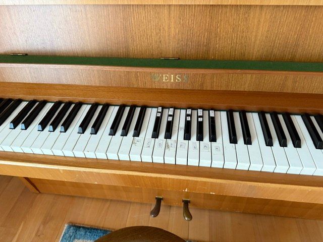 Musikinstrumente: Klavier (gebraucht) – Gebraucht aus Olten von Birdfamily 5