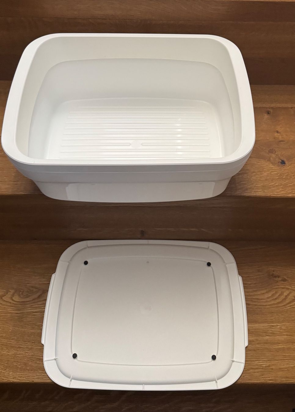 Contenitori & Simili: Tupperware BreadSmart Brotbehälter – Usato da Herzogenbuchsee venduto da zukerka 3