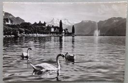 Montreux et les Dents du Midi
