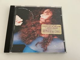 Gloria Estefan / Into the Light / 1991