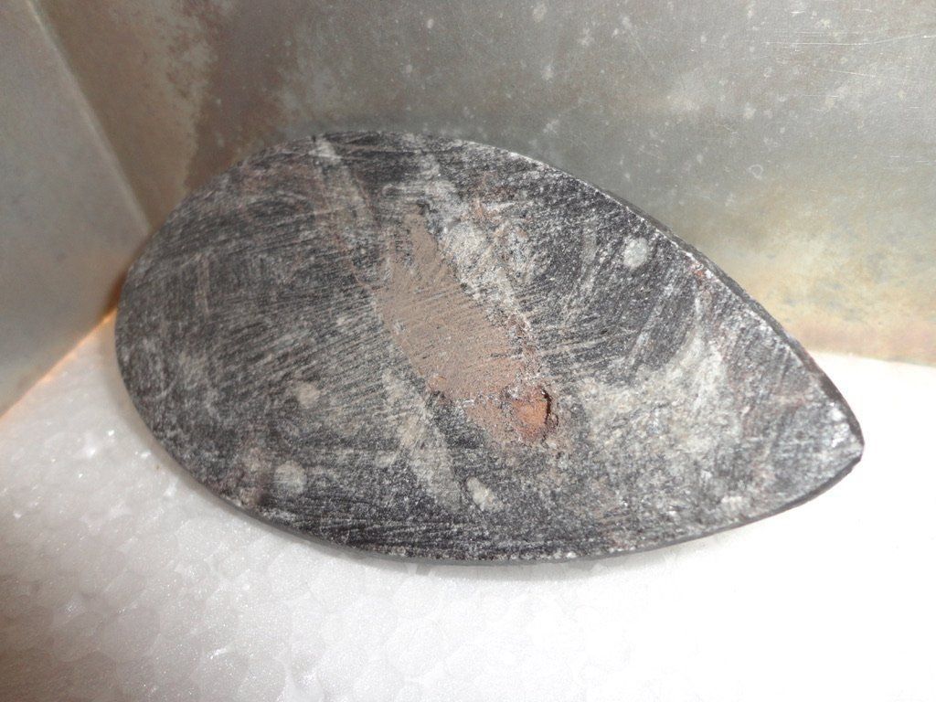 Fossilien: Orthoceras – Neu (gemäss Beschreibung) aus Biberist von Steine 3