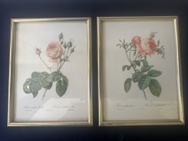 🌸🌷Vintage Rosen Kunstdrucke, 2er Set mit Rahmen🌷🌸 